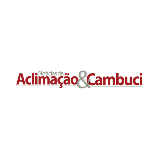 Notícias da Aclimação e Cambuci   